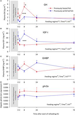 The Impact of Initial Energy Reserves on Growth Hormone Resistance and Plasma Growth Hormone-Binding Protein Levels in Rainbow Trout Under Feeding and Fasting Conditions